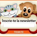 Inscriere-nws-animalzoo
