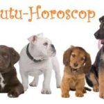 Cutu-Horoscop!