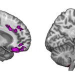 article-2264596-170549B2000005DC-314_634x286