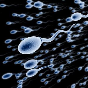 pierderea în greutate și calitatea spermei