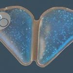 article-2292655-18A138EF000005DC-788_634x368