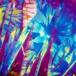 Vinul-alb-vazut-sub-microscop