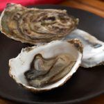 Oysters. Image shot 2007. Exact date unknown.