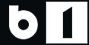 B1 TV