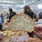 10 Paine EVZ  ILI_7852