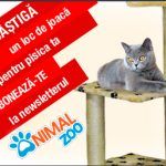 concurs-abonare-newsletter-animalzoo-300×334