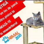 concurs-abonare-newsletter-animalzoo-interstitial
