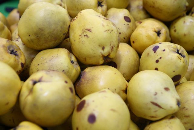 beneficiile miraculoase ale gutuilor