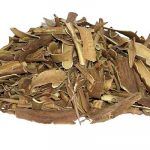 sanatate-coaja-salcie