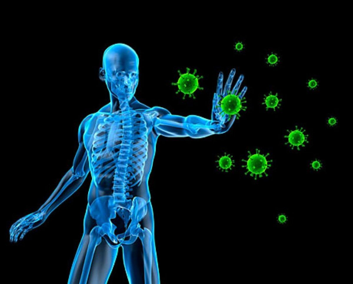 sistemul imunitar atacă celulele sănătoase împotriva îmbătrânirii)