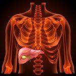50465549 – medical structure of the liver,anatomy, 3d, neon light