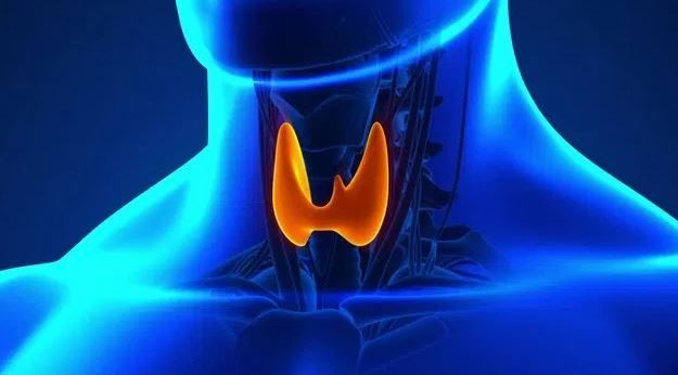 Greutate în exces și probleme cu tiroida: este posibil să slăbești cu hipotiroidism - Hipofiza June