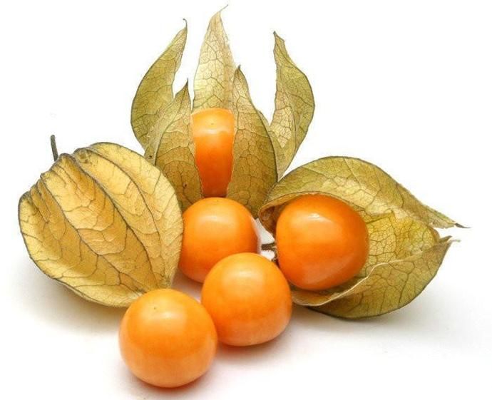 physalis