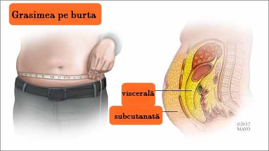 arde grăsime în jurul organelor