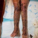 84393584_10221417416174568_4824677153192804352_o