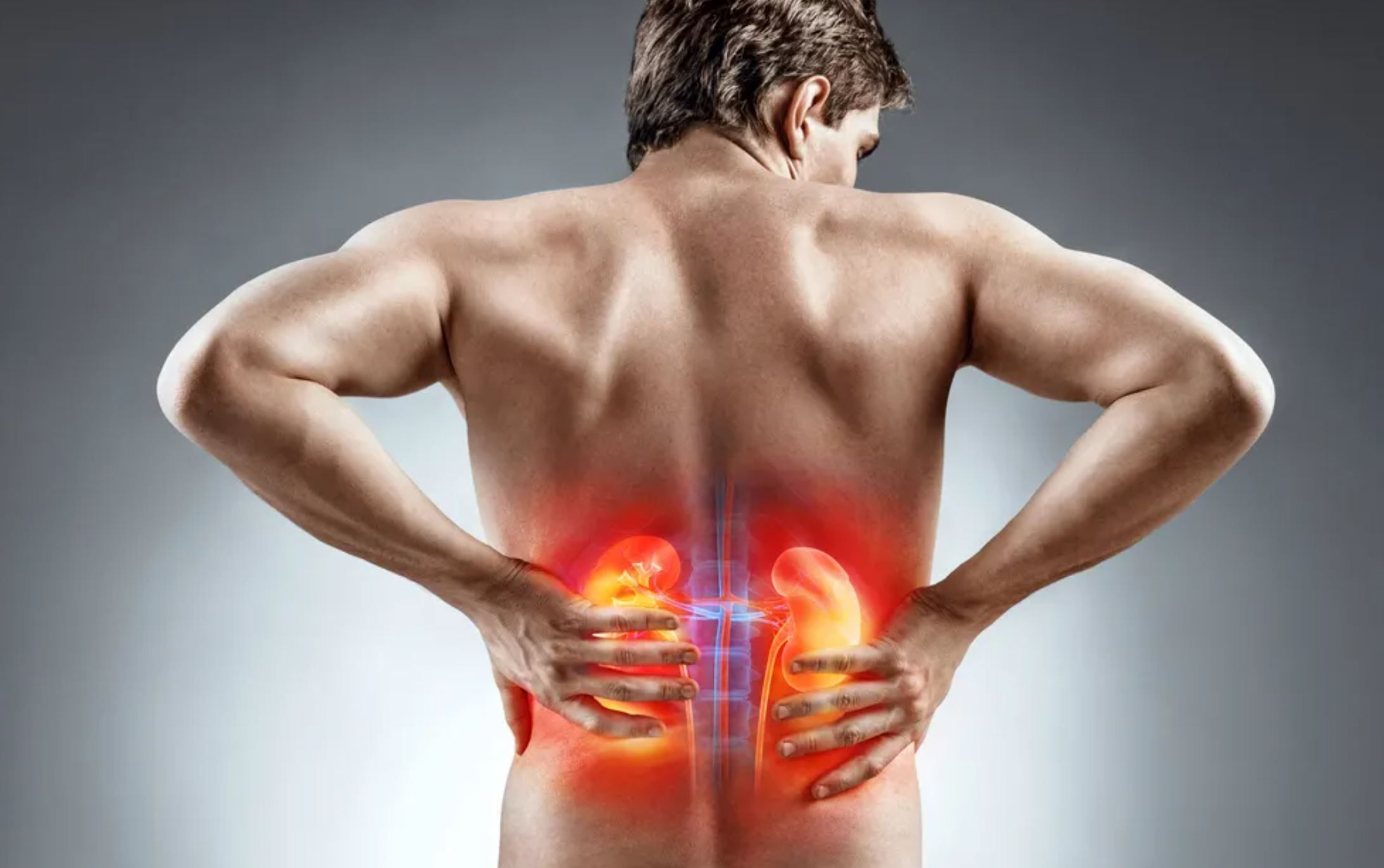 dureri musculare in zona rinichilor