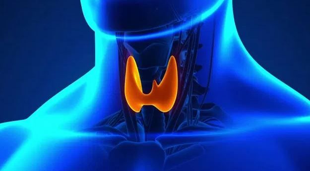 Tratament tiroidă slăbit. Alimente care ajută la slăbit dacă ai hipotiroidie