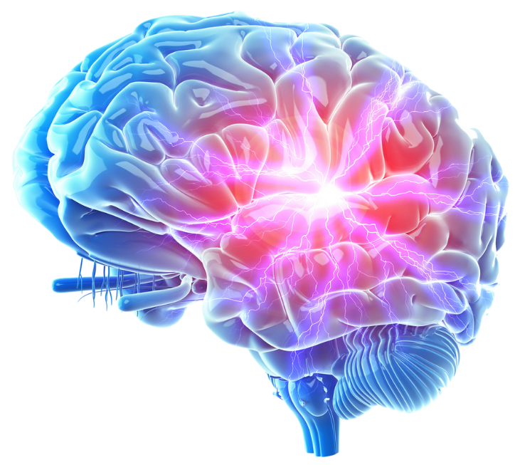detoxifierea creierului