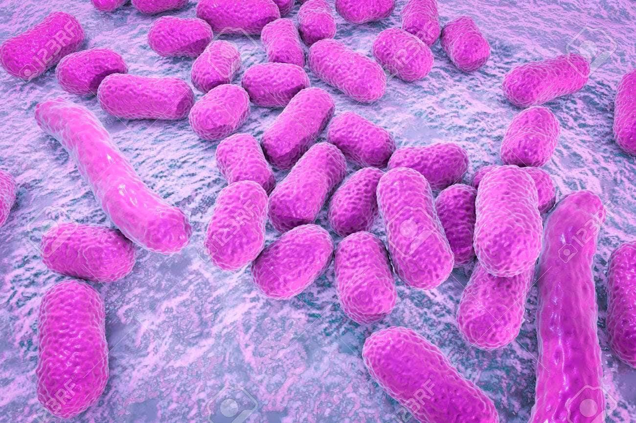 Tetanosul este o boală infecțioasă cauzată de o bacterie