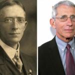 dr tuttle si dr. fauci