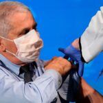 fauci vaccinat