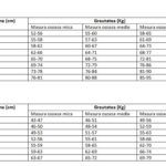 GREUTATEA-IDEALA-FEMEI-BARBATI