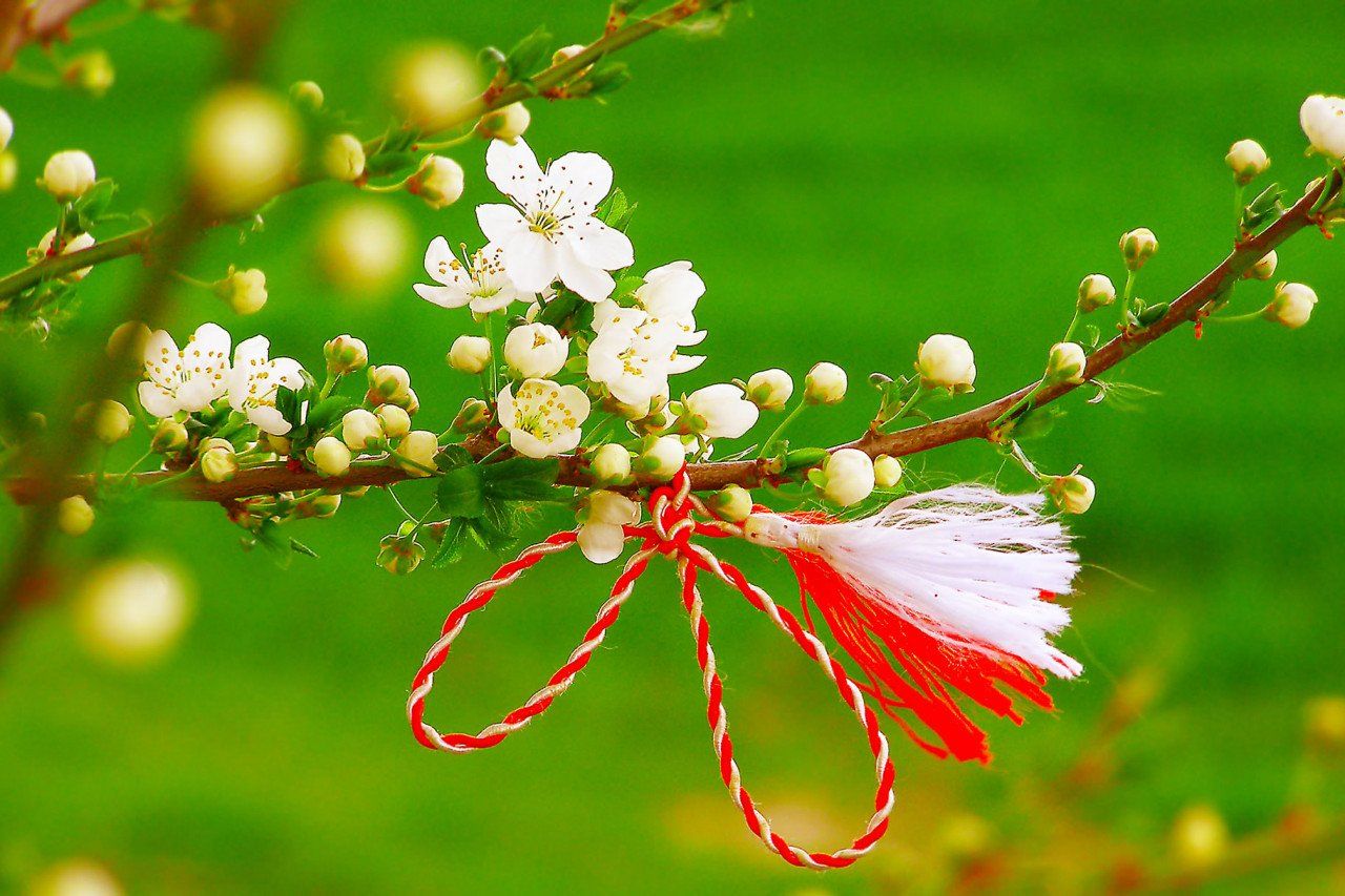 Mărțișoarele și florile