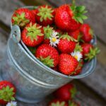strawberries-3431122_1920