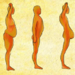 grasimea de pe burta