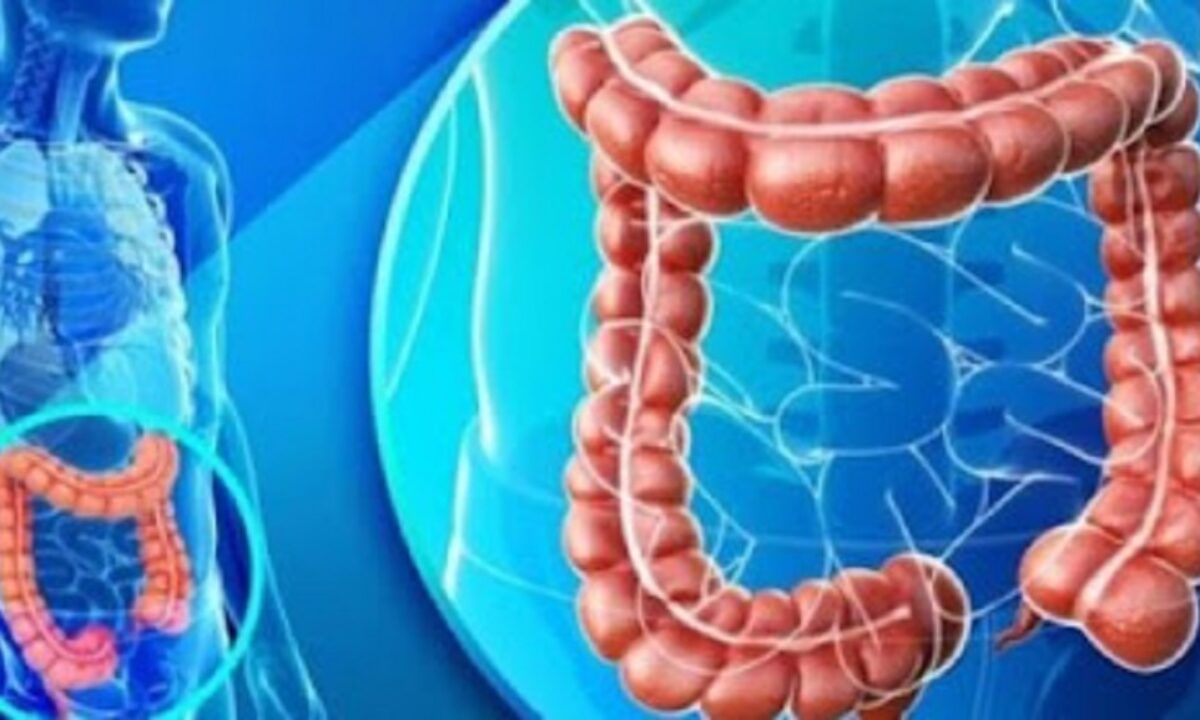 sânge ozn pentru prostatită prostatita nistatina