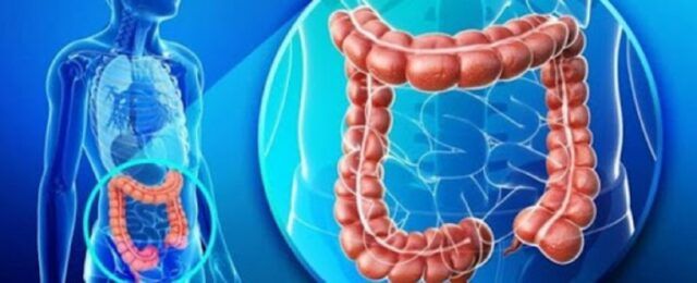cu prostatita, poate exista sânge în scaun