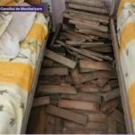 centrul sasca mica-Suceava3