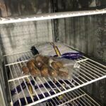 273017535_313246117502661_3366048716301641534_n