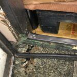 273050494_313246754169264_6373270818506696644_n