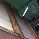 273191579_313246137502659_2466074532283703128_n