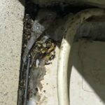 273386125_313246487502624_2064633843083723581_n