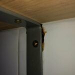 273483697_313246404169299_4291078255519955602_n