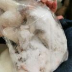 anpc-congelate-branesti