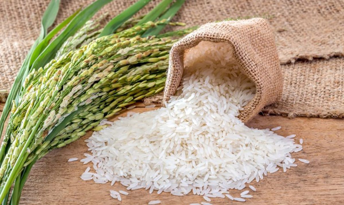 legătura dintre consumul de orez și creșterea în greutate