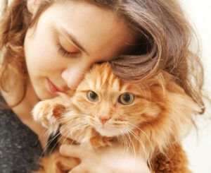 risc de boala pentru proprietarii de pisici