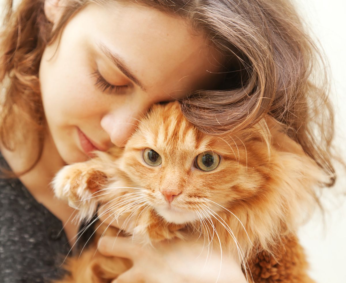 risc de boala pentru proprietarii de pisici