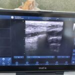 291070681_536094324874503_1703653060615760072_n