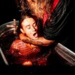 NINTCHDBPICT000766386870