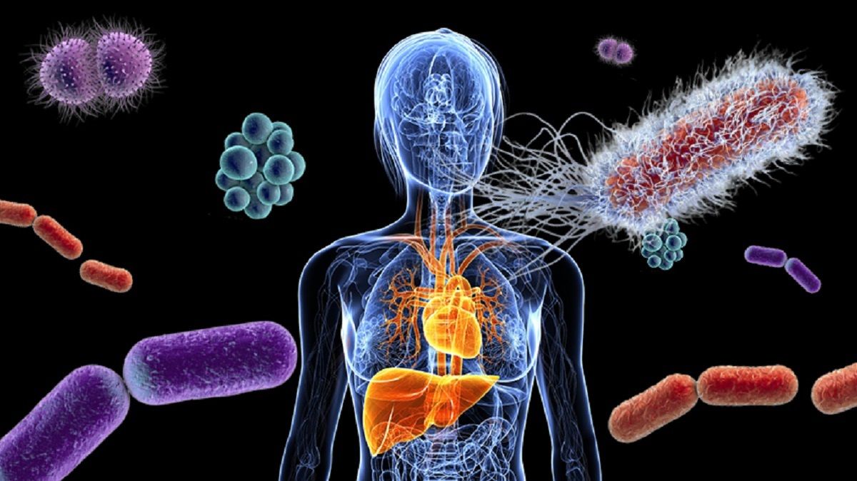 Microbiom intestinal