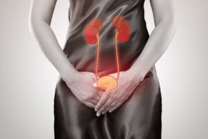 anatomia tractului urinar la femei