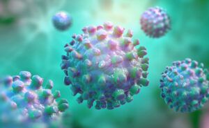 virus transmis de capuse