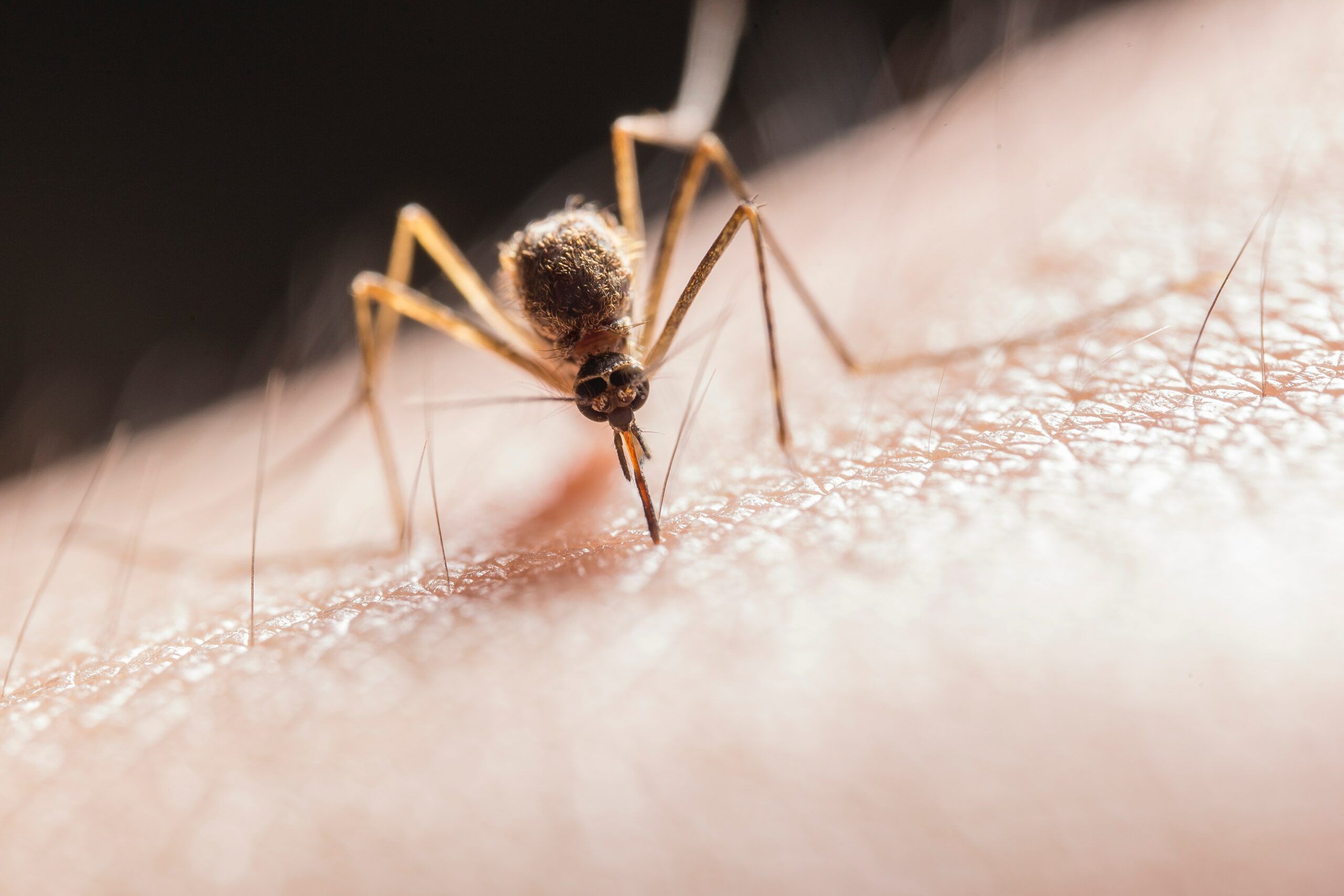 Malaria poate determina oboseală severă și slăbiciune generală.