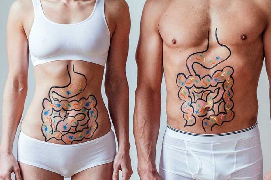 Organele corpului uman
