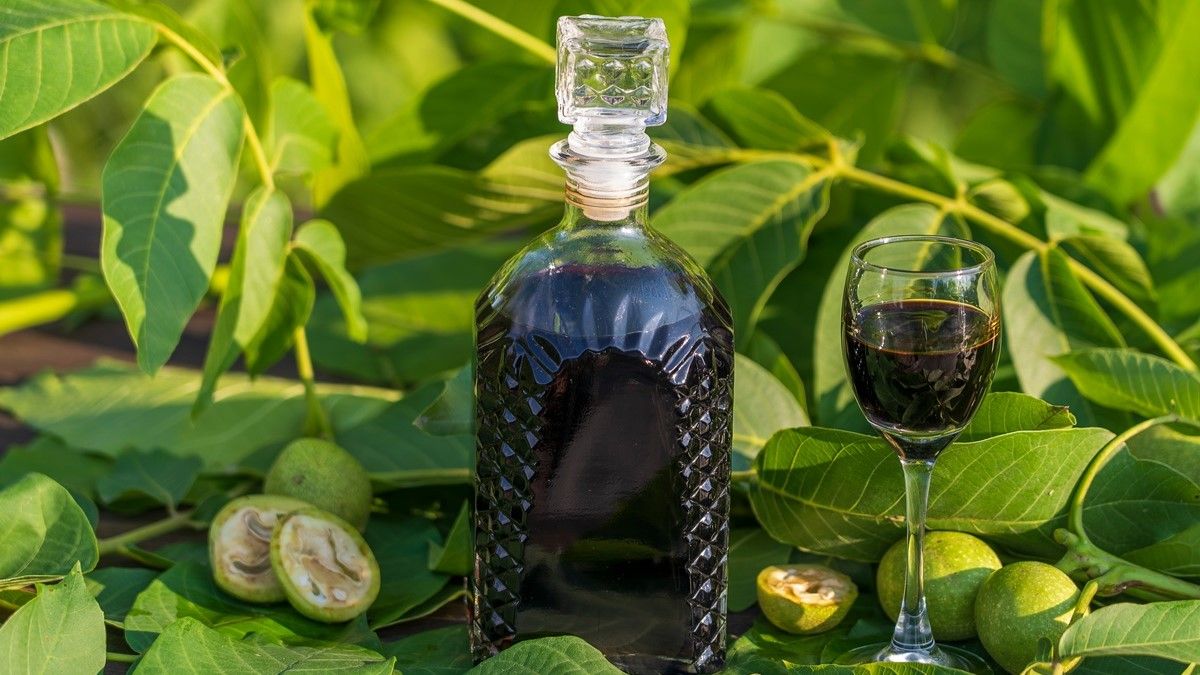 Ce poți face cu frunzele de nuc, când trebuie recoltate acestea și efectul lor terapeutic