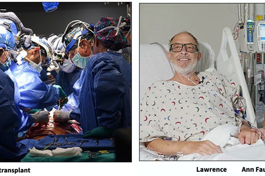 În luna septembrie, americanul Lawrence Faucette, în vârstă de 58 de ani, a fost supus unei operaţii de transplant cu o inimă de porc modificată genetic, a doua efectuată vreodată la un om.